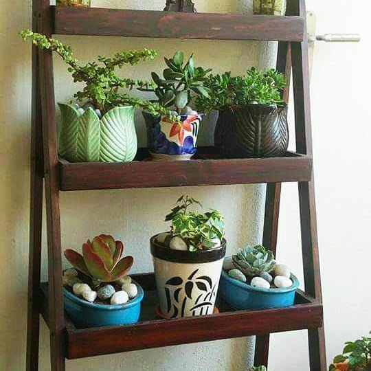 display shelves